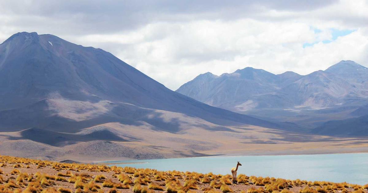 Old Tax Regime vs New: Which One Saves You More Money in 2025?